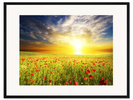 Gerahmter Kunstdruck Feld mit grünem Gras und roten Mohnblumen