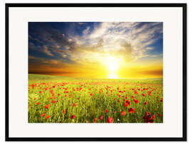 Plakat artystyczny premium w ramie Field with green grass and red poppies