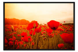 Gerahmter Kunstdruck Rote Mohnblumen im Morgennebel