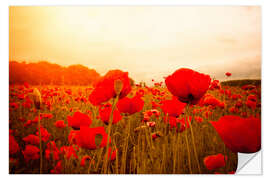 Selvklæbende plakat red poppies in misty dayspring