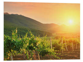 Foam board print Vineyards in Sunset