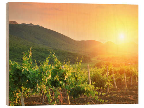 Holzbild Weinberge im Sonnenuntergang