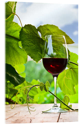 Obraz na szkle akrylowym glass with red wine in vineyard