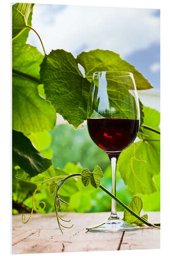 Foam board print Glass of Red Wine in Vineyard