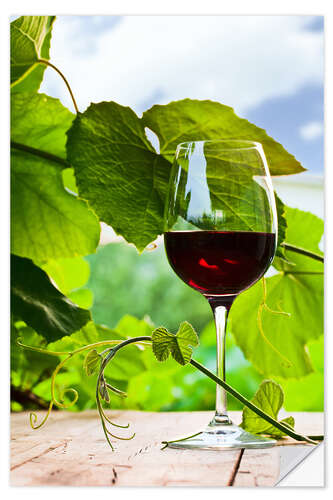 Sisustustarra glass with red wine in vineyard