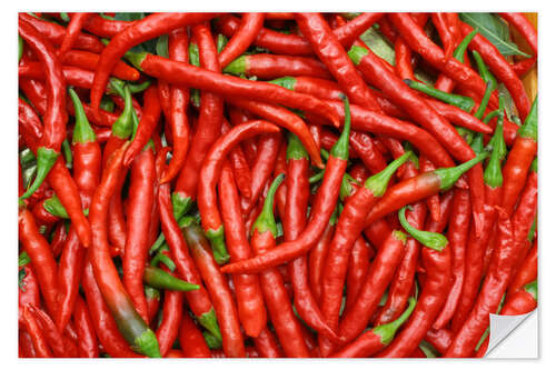Vinilo para la pared Red hot chili peppers
