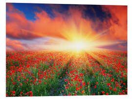 Foam board print Sunset over a field of red poppies