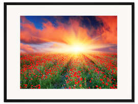 Gerahmter Kunstdruck Sonnenuntergang über roten Mohnblumen