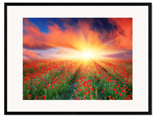 Kehystetty taidepainatus Sunset over a field of red poppies