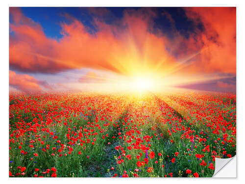 Wall sticker Sunset over a field of red poppies