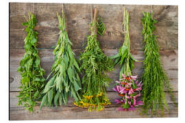 Magnettafel Heilkräuter