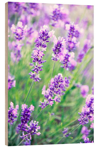 Wood print Lavender