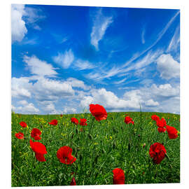 Tableau en PVC Coquelicots rouges dans une prairie verte