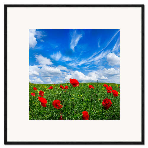 Impresión de arte enmarcada Red poppies on green field