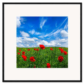 Impresión de arte enmarcada Red poppies on green field
