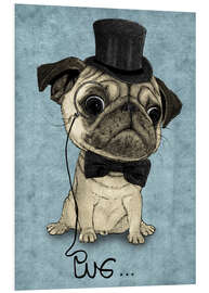 Tableau en PVC Pug; Gentle Pug.