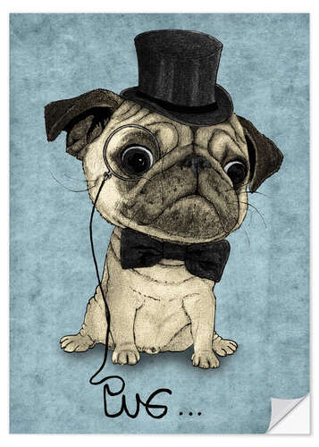 Wall sticker Pug; Gentle Pug.