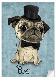 Wall sticker Pug; Gentle Pug.