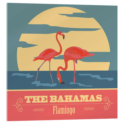 Acrylic print The Bahamas - Flamingo