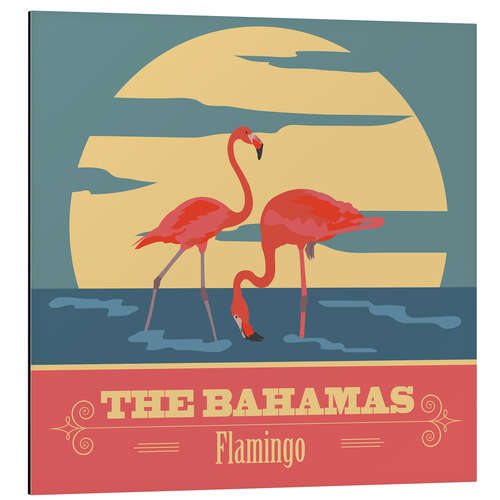 Cuadro de aluminio The Bahamas - Flamingo