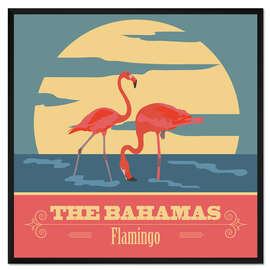 Gerahmter Kunstdruck Bahamas - Flamingos