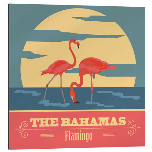 Gallery print The Bahamas - Flamingo