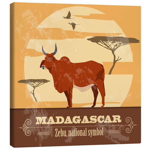 Canvastavla Madagascar - Zebu