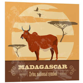 PVC-tavla Madagascar - Zebu