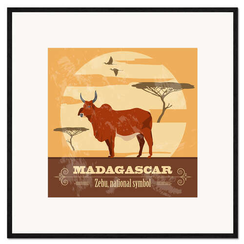 Gerahmter Kunstdruck Madagaskar - Zebu