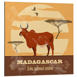 Magnettafel Madagaskar - Zebu