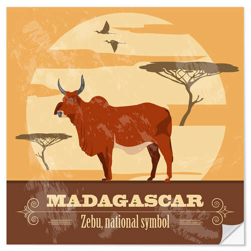 Sticker mural Madagascar - Zebu