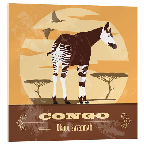 Gallery Print Kongo - Okapi