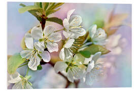 Stampa su PVC Spring Blossoms III