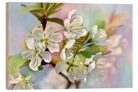 Quadro de madeira Spring Blossoms III