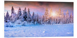 Foam board print Winter Sunrise in the Mountain Forest