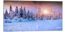 Gallery print Zonsopgang in een winterlijke bos in de bergen