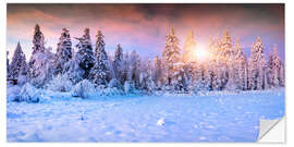 Wall sticker Winter Sunrise in the Mountain Forest