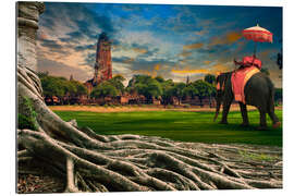 Gallery print big root of banyan tree and elephant