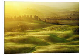 Tableau en aluminium Wavy fields in Tuscany, Italy