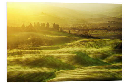 PVC-taulu Wavy fields in Tuscany, Italy