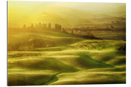 Gallery Print Wellenförmige Felder in der Toskana, Italien