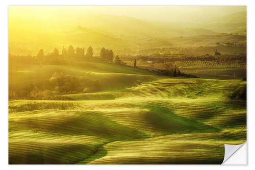 Muursticker Wavy fields in Tuscany, Italy