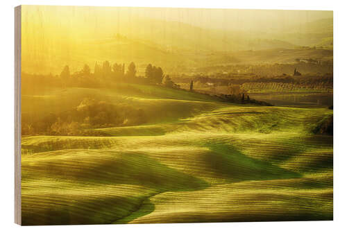 Tableau en bois Wavy fields in Tuscany, Italy