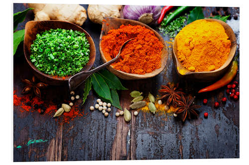 Foam board print Colorful spices diversity