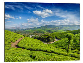 Galleriprint Green tea plantations in morning