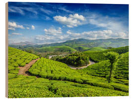 Hout print Green tea plantations in morning