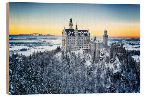 Puutaulu Neuschwanstein in the snow