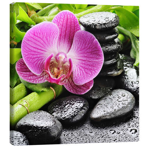 Canvas-taulu Zen stones and pink orchid