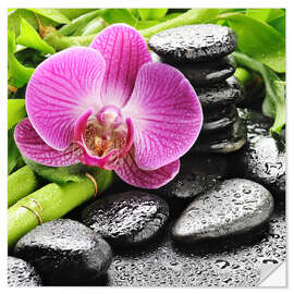 Sisustustarra Zen stones and pink orchid