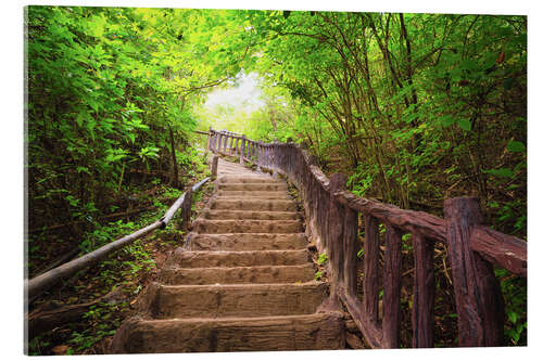 Acrylic print Stairway to forest, Erawan national park